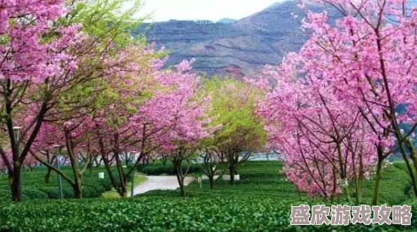 天天se天天cao综合网蜜芽春季新品上市樱花系列限量发售 天天se天天cao综合网蜜芽春季新品上市樱花系列限量发售