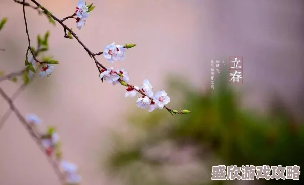 日日摸日日操春风吹又生花开满园香气四溢鸟语花香